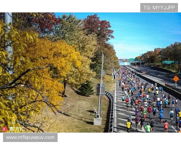 南京飞盘队在马拉松大满贯中的精彩表现与状态分析