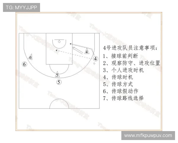 杭州篮球队战术解析与未来发展方向的深入探讨