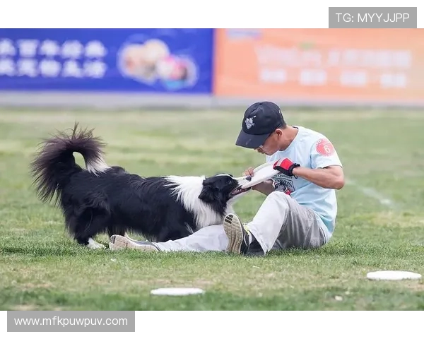武汉飞盘队在极限运动世界杯中的拼搏历程与荣耀时刻分享
