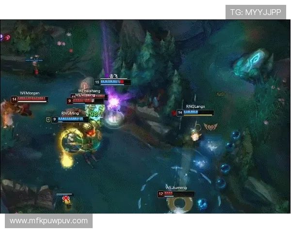 赛后分析：RNG与WE对决中的战术布局与执行细节探讨