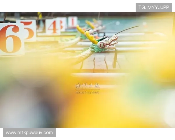 2017国际赛德国队与法国队激战回顾与精彩瞬间分析