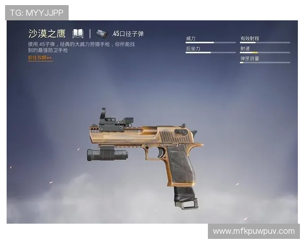 吴军谈和平精英发展历程与未来展望深度专访回顾