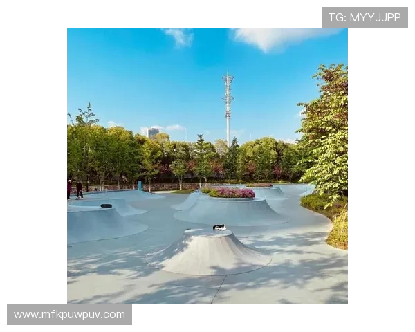 武汉滑板队灵活性深度对比分析与发展潜力探讨 武汉滑板队灵活性深度对比分析与发展潜力探讨