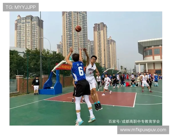 成都篮球队球员个人能力分析与表现评估研究报告